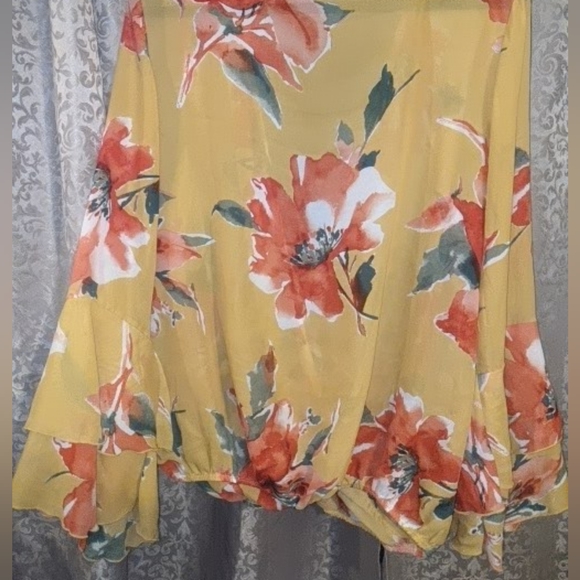 Cute sheer top with bell sleeves and elastic band around bottom - Picture 6 of 6